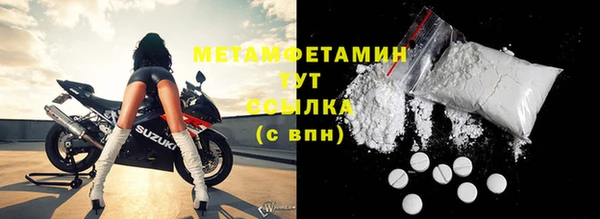 прущие грибы Валдай