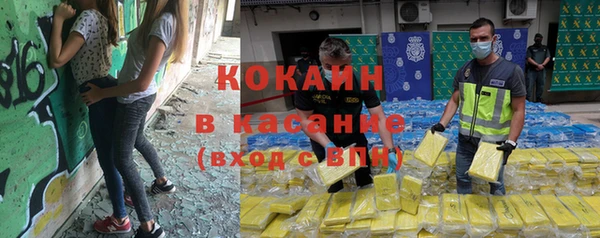 прущие грибы Валдай