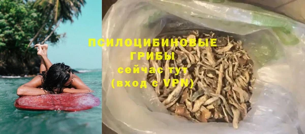 индика Бутурлиновка