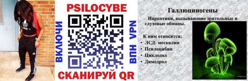 Псилоцибиновые грибы ЛСД Закаменск